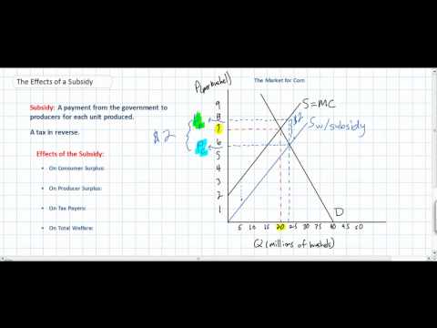 The Effects of a Per Unit Subsidy