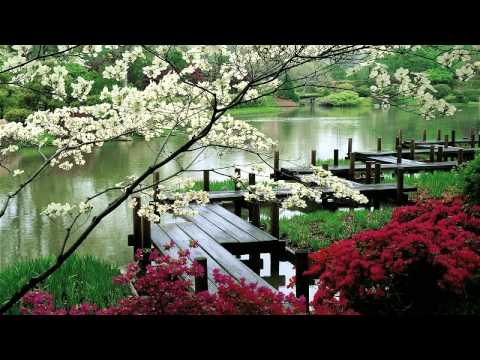 Relaxing Music - 3 HOURS | Zen Garden | - Sleep Music - Spa Music - Meditation - Therapy