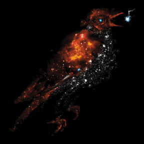 Bird Nebula Night Song T-Shirt