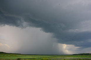 Black storm clouds under which a grey sheet of rain is falling on grasslands.