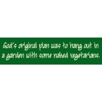 God's Original Plan Bumper Sticker