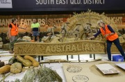 SMH NEWS ROYAL EASTER SHOW
Workers continues to finish the South East Queensland District produce display at this years Royal Easter Show. 25th March 2015. 
Photo Dallas Kilponen