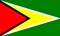 Guyana flag