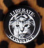 Conflict- Liberate pin (pinA105)