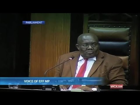 Mandla Mandela objects to ‘voetsak’ being said in Parliament