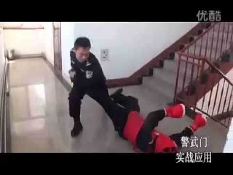 Chinese Police self-defence