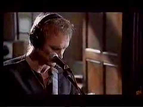 Sting - Fields of Gold