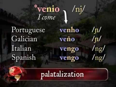 Grammar of Romance - pronunciation of Vulgar Latin & the Romance languages