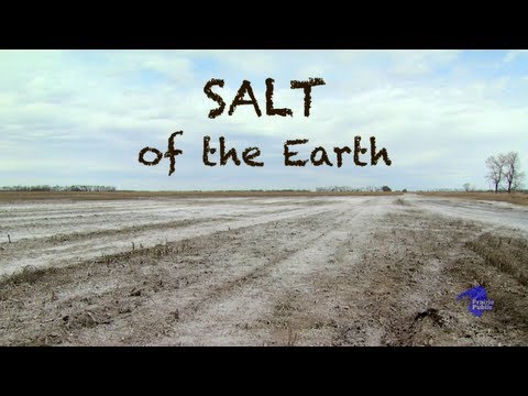 Salt of the Earth