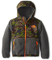 The North Face Kids - Denali Hoodie (Little Kids/Big Kids)