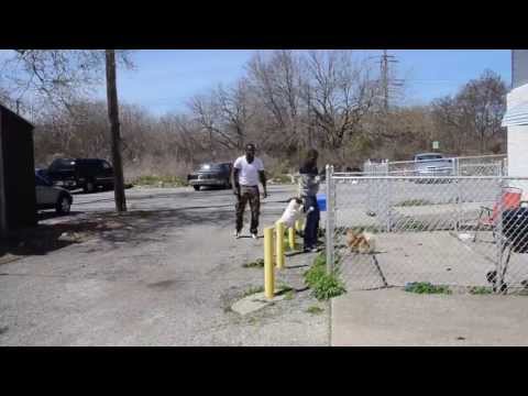 DIRTBIKE RELL KILLING SOUTH PHILLY