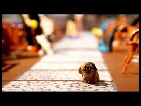 Animal Rights Stop Motion - Full HD