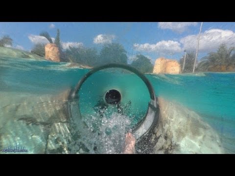 Dolphin Plunge Body Slide Both Slides (HD POVS) Aquatica Seaworld Water Park Orlando