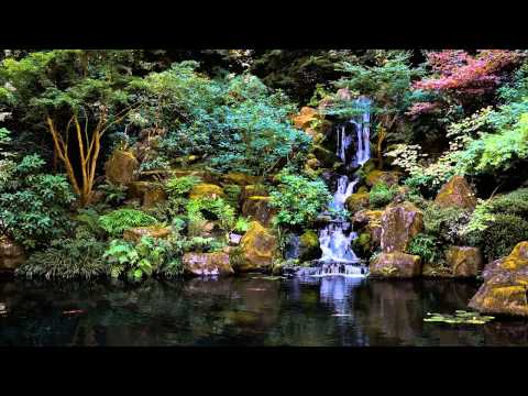 3 HOURS of The Best Relaxing music | Bamboo Flute | - Meditation - Spa - Healing - Sleep