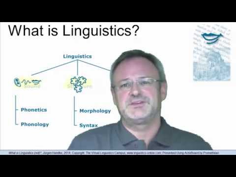 What is Linguistics (not)?