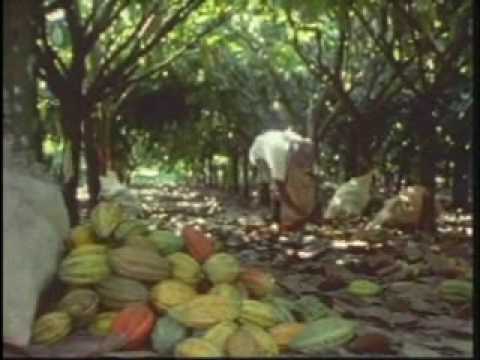 Chocolate Production