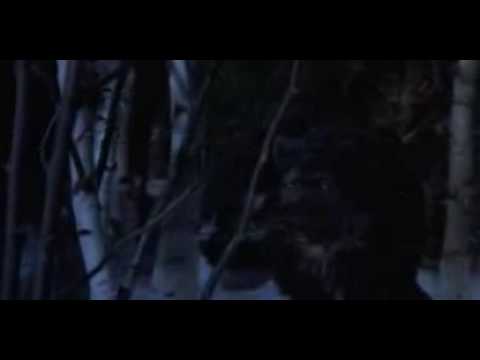 Wolf (1994) Part 1 full at mixtaka.com