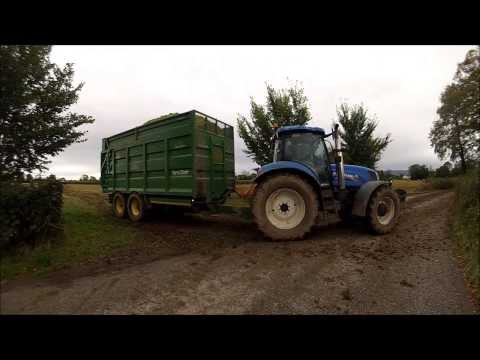 David Dooley maize 2013