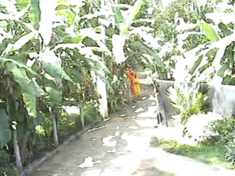 Buddhist Nuns Daily Pinda Parda Sri Sanghamitta Nun's Seminary Sri Lanka