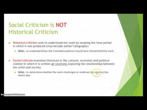 social criticism defined