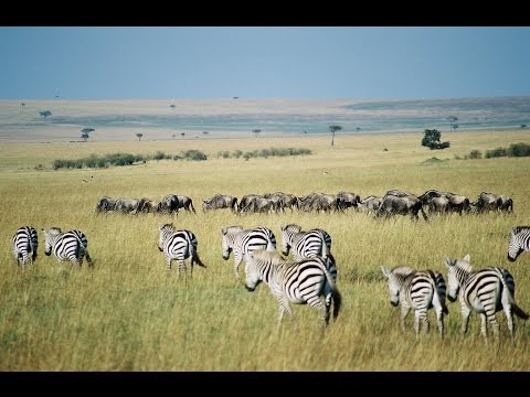 Kenya: 10 Top Tourist Attractions - Video Travel Guide