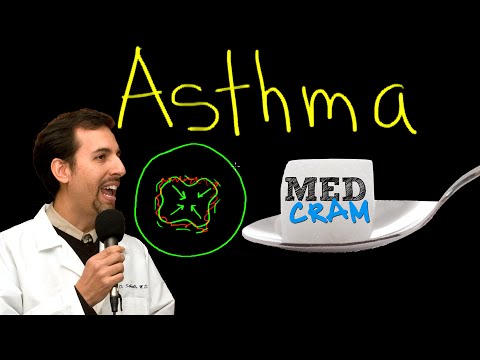 Asthma Explained Clearly