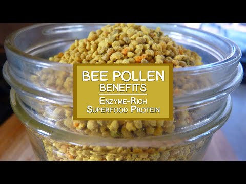 Bee Pollen Benefits as an Enzyme-Rich Superfood Protein Source