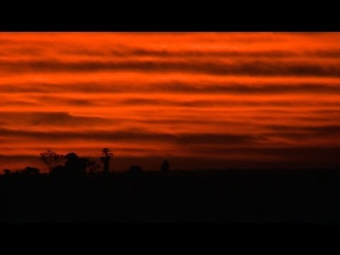 Brazilian farmers who control Paraguay's economy