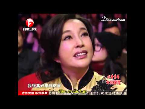 {Dinosaurteam}[Vietsub] 2013 Anhui TV Drama Awards Kim Woo Bin Park Shin Hye cut