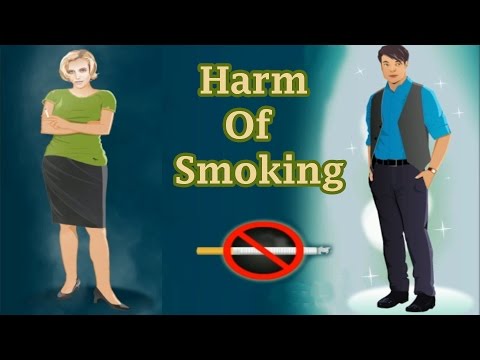 Harmful Effects Of Tobacco On The Human Body, Educational Video For Children