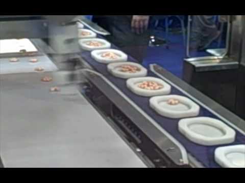 Food Machinery and Technology Exhibition: Gyoza machine and robotic arms