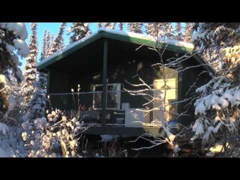 Extremely cool: Life in a small cabin in Fairbanks, Alaska