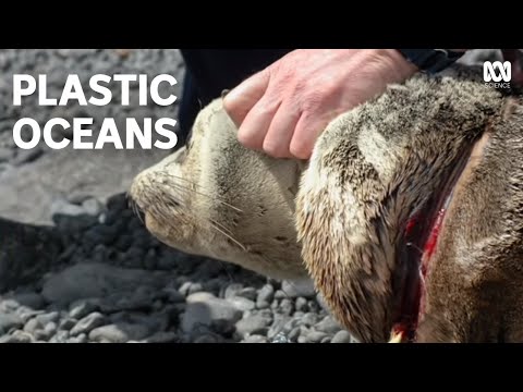 Catalyst ABC TV - Plastic Oceans