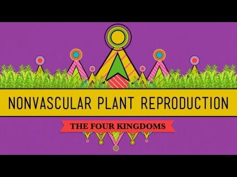 The Sex Lives of Nonvascular Plants: Alternation of Generations - Crash Course Biology #36