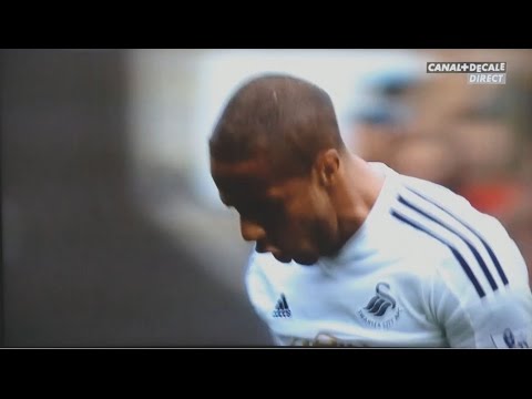 [HD] Wayne Routledge amazing goal ! Swansea vs West brom 2014