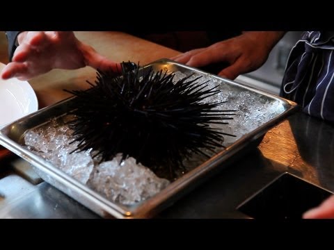 How To: Open & Eat Sea Urchin (Uni)