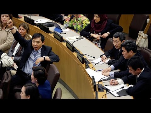 North Korea diplomats storm out of UN rights meeting