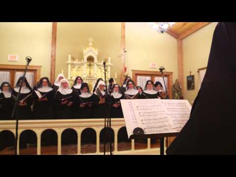 The Benedictines of Mary 