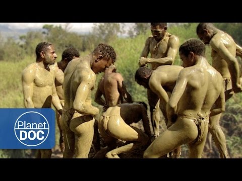 Full Documentary | Ambassadors of the jungle - Planet Doc Full Documentaries