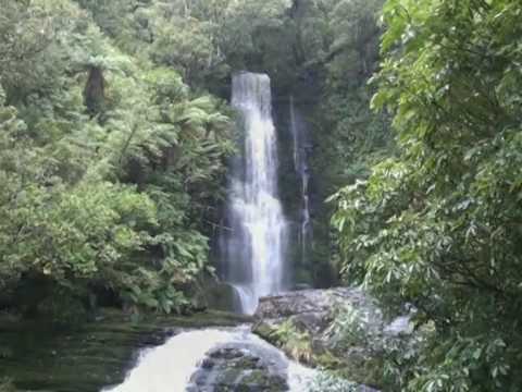 At the Edge of the World Lies The Catlins