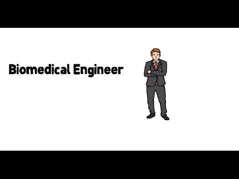 Biomedical engineering job options