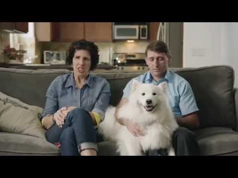 Farmers Pet Insurance - Avoid the Shock