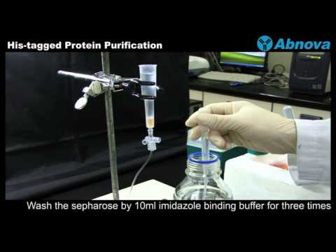 His-tagged Protein Purification