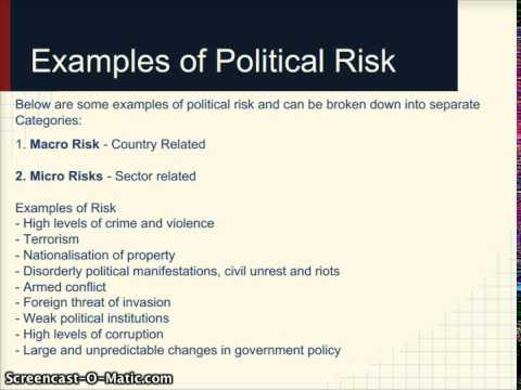 What Is Political Risk?