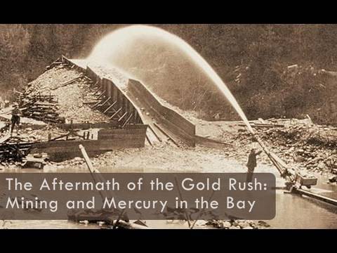 Saving the Bay - The Aftermath of the Gold Rush: Mining and Mercury in San Francisco Bay