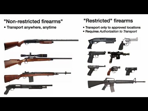 [Canada Gun Politics] Authorization to Transport court case @ Ontario Court of Appeal