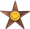 Random Acts of Kindness Barnstar.png