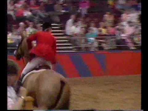 Towerlands Anglezarke (ISH) & Malcolm Pyrah - 1986 King George V Gold Cup