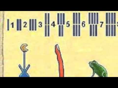 Ancient Egyptian Number System