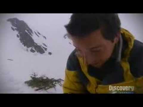 Man vs. Wild: Bear Grylls Eats a Fish